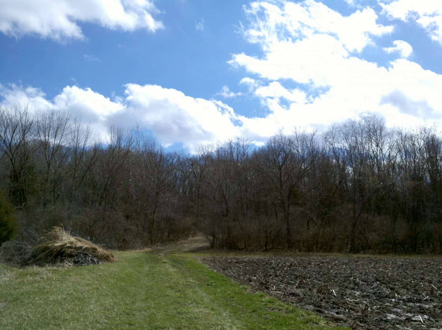 A grassy path runs beside a plowed field, leading toward leafless trees under a blue sky with scattered clouds.