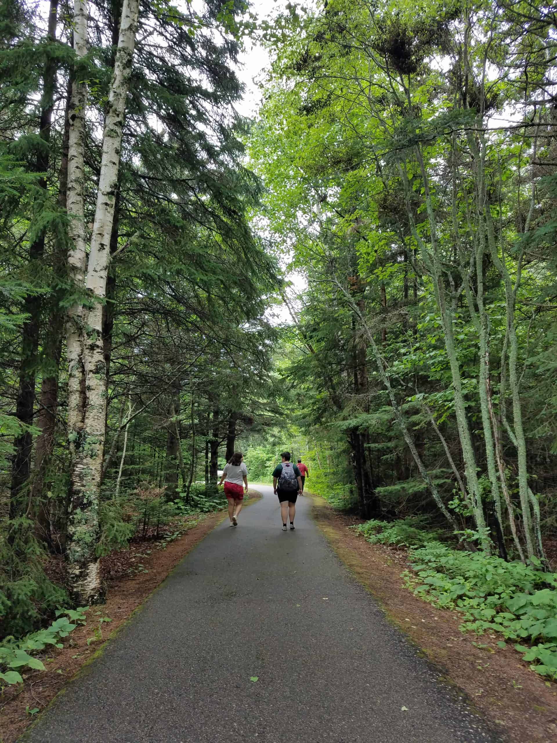 Two people walk down a paved trail surrounded by tall, lush green trees in a forest on a cloudy day.