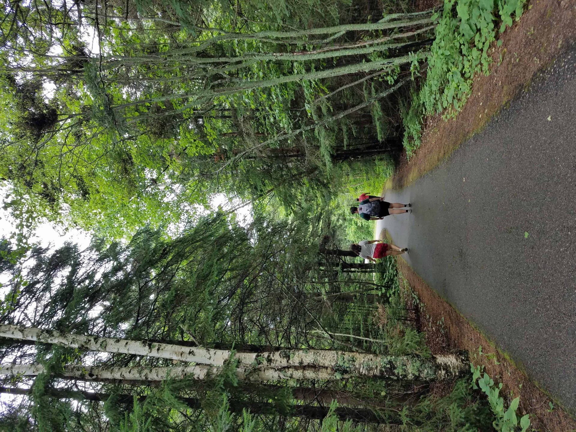 Two people walk along a paved path through a lush green forest, surrounded by tall trees and dense foliage, on a cloudy day.