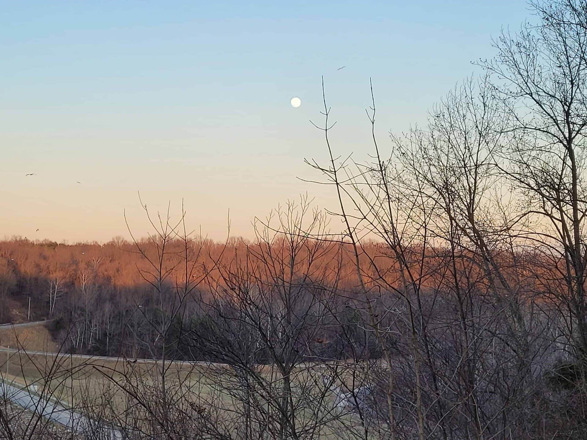 Bare trees in the foreground with a pale sky at dusk or dawn. The moon is visible above the horizon, and the landscape includes rolling hills and a small winding road.