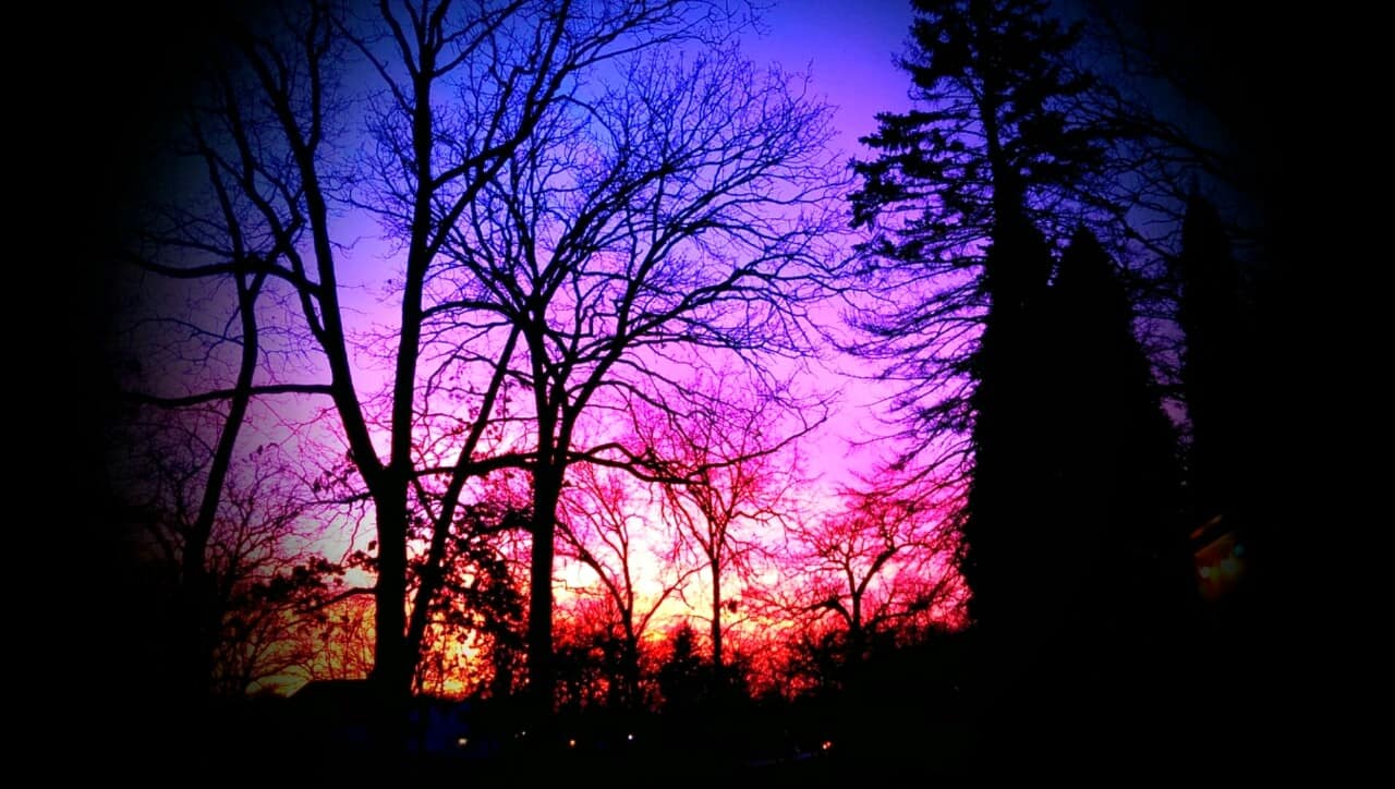 Silhouetted trees stand against a vivid, colorful sunset sky blending shades of blue, purple, pink, and orange, creating a dramatic and peaceful evening scene.