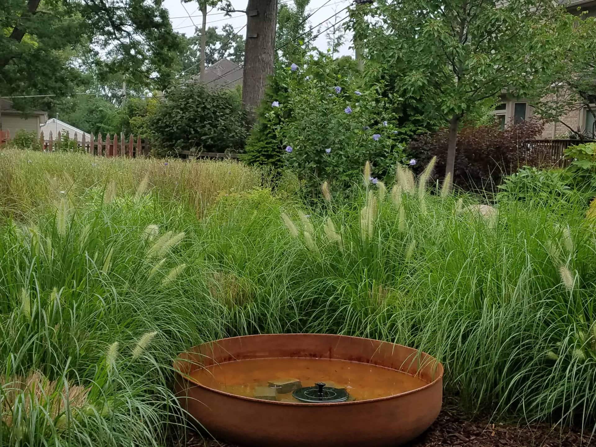 A metal birdbath with a small solar fountain sits among tall green grasses in a lush garden, with trees and shrubs in the background.