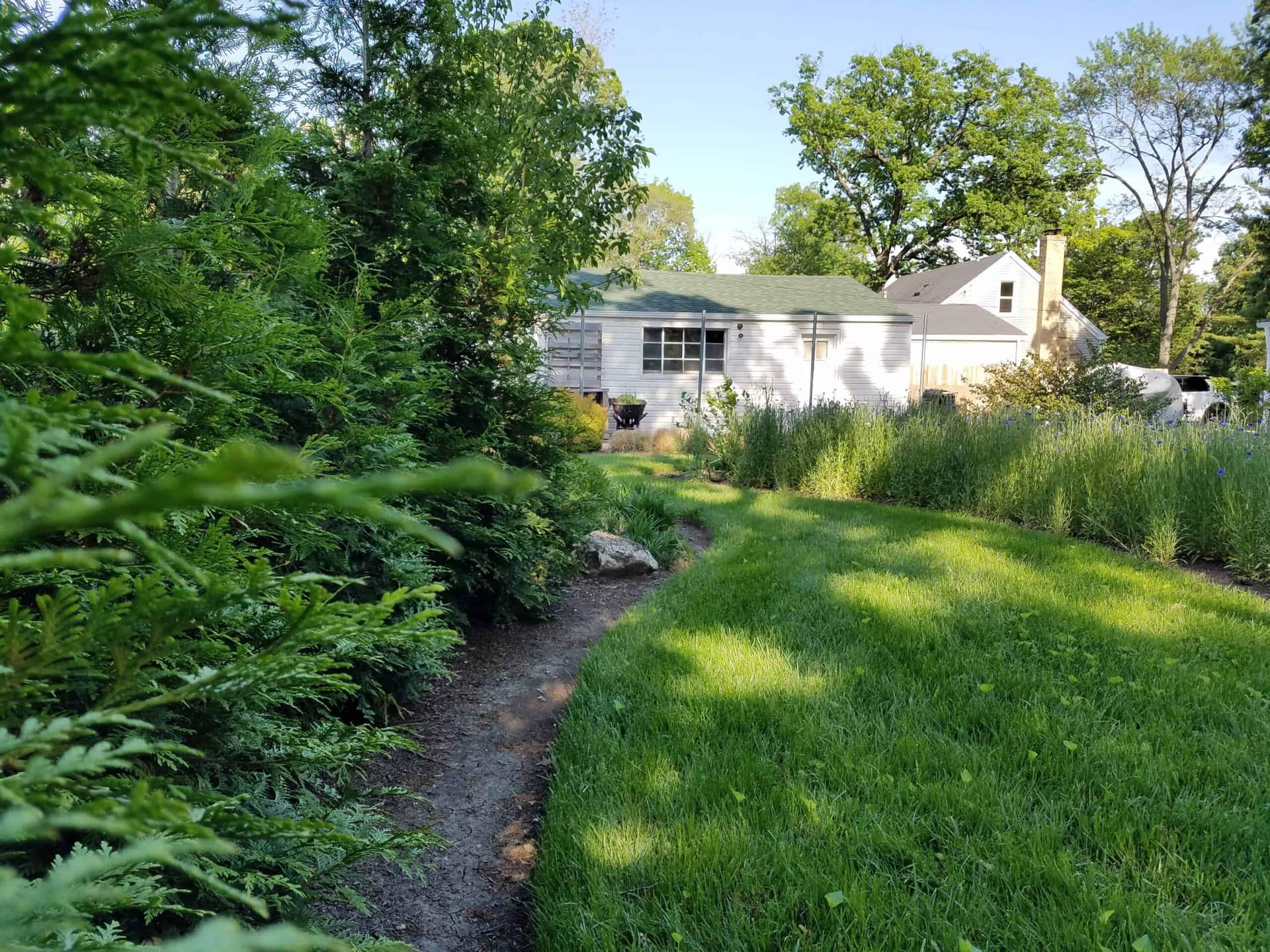 A narrow dirt path curves through a green garden with tall bushes and grass, leading toward a white house with green roof shingles on a sunny day.