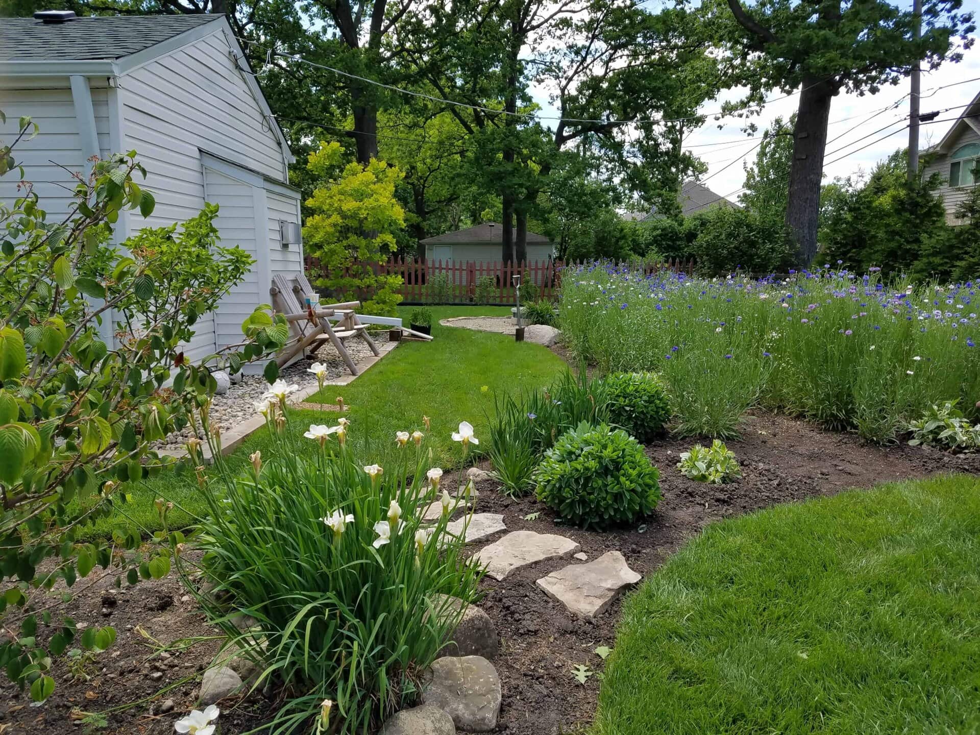 A lush backyard garden with blooming flowers, green grass, a curved stone path, two wooden chairs near a white house, and trees and shrubs surrounding the area.