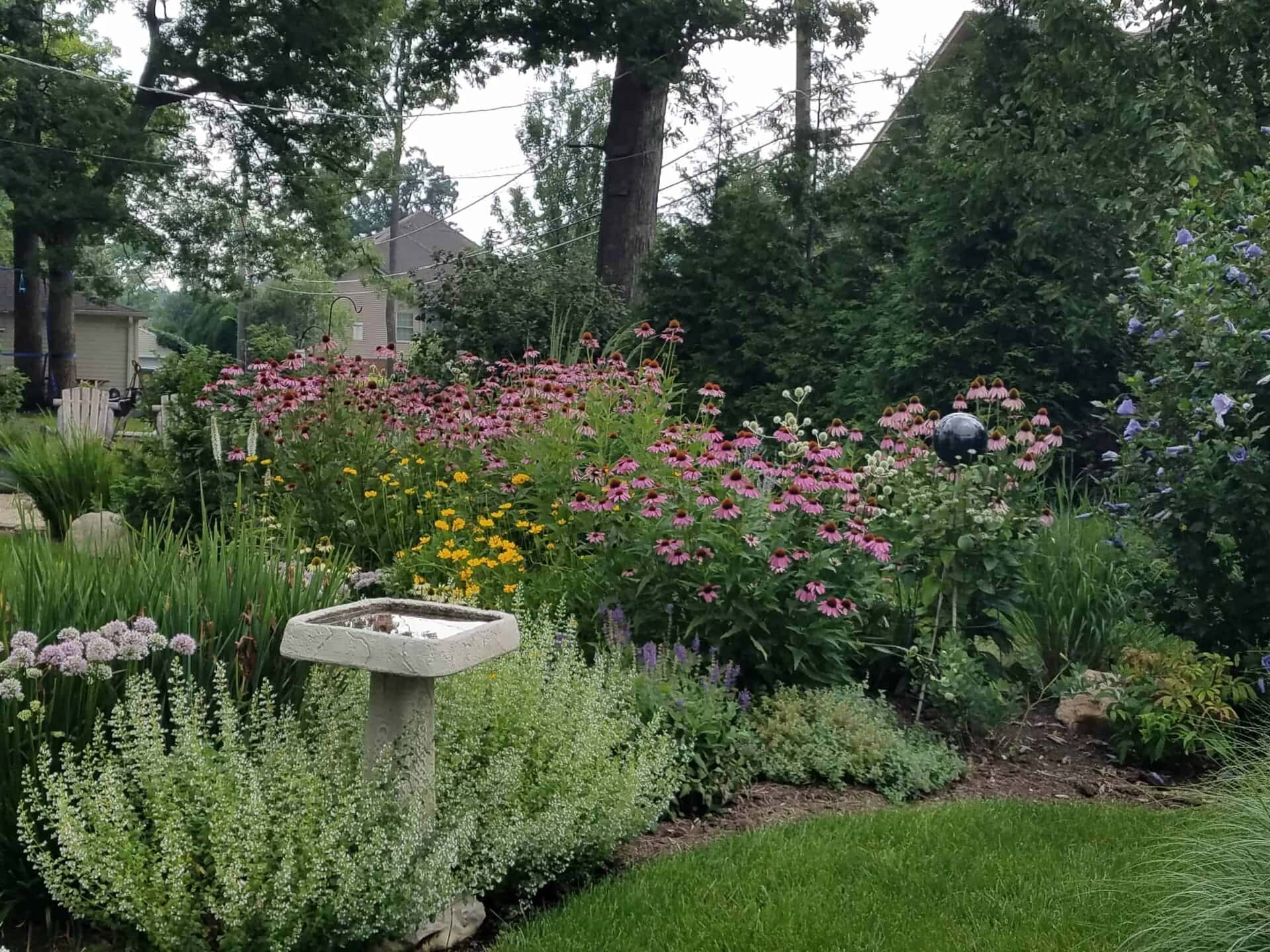 A lush garden with blooming pink and yellow flowers, green shrubs, and a concrete birdbath in the foreground. Trees and houses can be seen in the background under a cloudy sky.