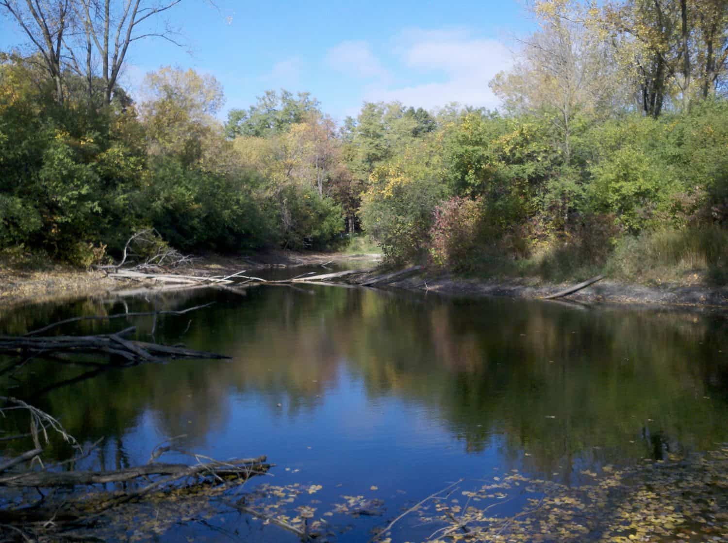 A calm river reflects trees with green and yellow leaves. Fallen branches and logs lie partly in the water. The sky is blue with a few clouds, and the scene is peaceful and natural.