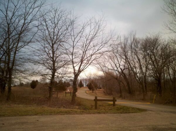 A paved path curves through a leafless forest under a cloudy sky, bordered by grass and bare trees. A wooden fence stands near the paths entrance.