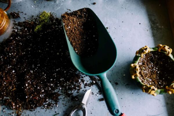 A green garden trowel with soil rests on a table, next to scattered potting mix, pruning shears, and a small plant pot decorated with frog figures.
