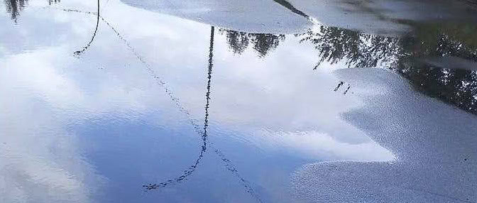 A large puddle on pavement reflects the blue sky, clouds, trees, and a streetlight, creating an illusion of a landscape within the water.