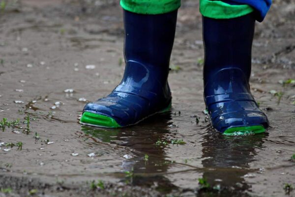 A person wearing blue and green rain boots stands in a shallow puddle on wet, muddy ground with small green plants.