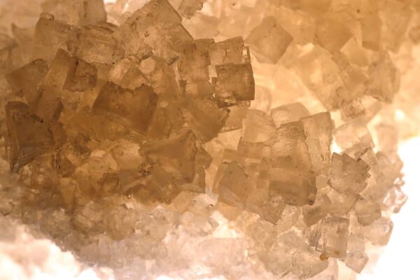 Close-up of translucent, beige salt crystals clustering together, illuminated from behind to highlight their cube-like shapes and textured surfaces.