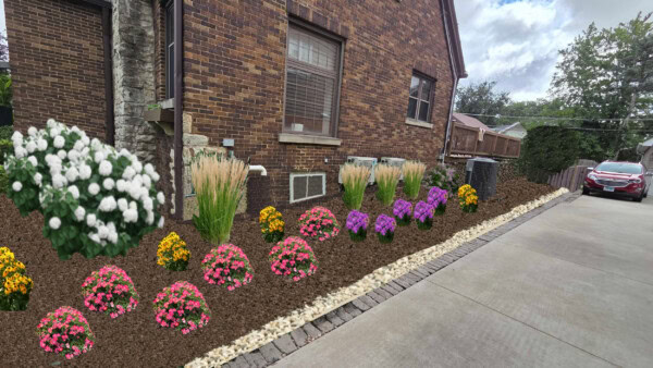 A garden bed beside a brick house with white, pink, yellow, and purple flowers, tall grasses, brown mulch, and a white stone border next to a driveway with a red car parked at the end.
