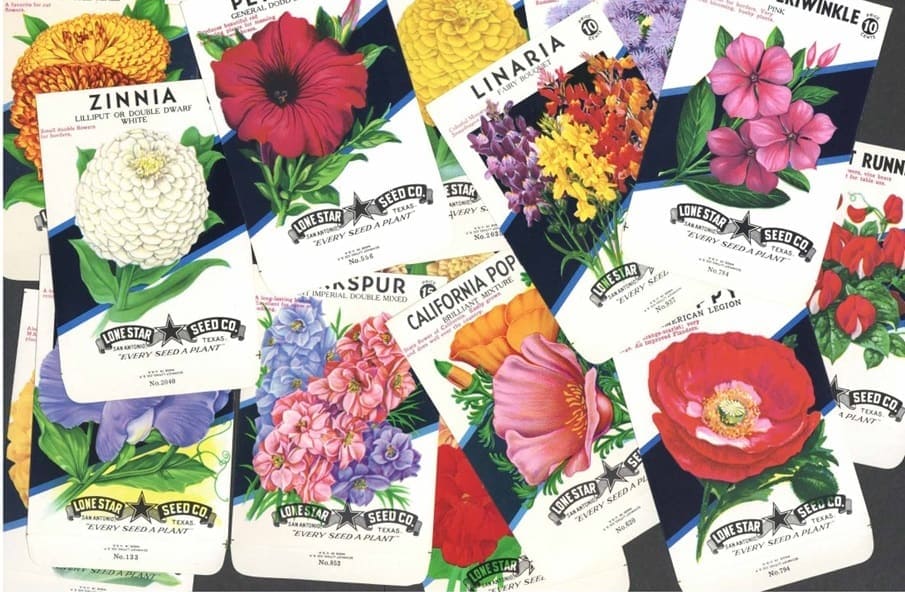 Packets of flower seeds from Lone Star Seed Co., showing illustrations of colorful flowers like zinnia, poppy, larkspur, linaria, periwinkle, and others, overlapping each other.