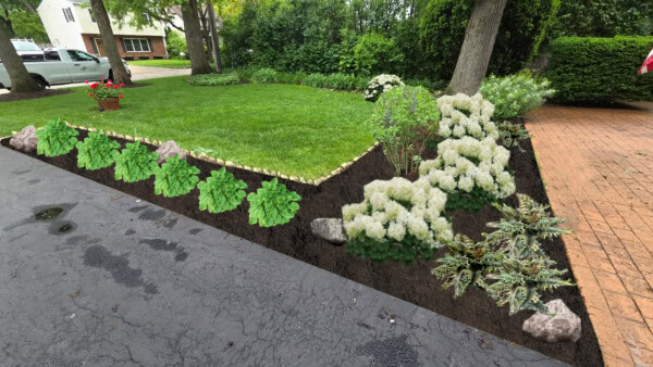 A landscaped front yard with a mulched garden bed featuring green and white flowering plants, bordered by rocks, next to a driveway, lawn, and brick walkway.