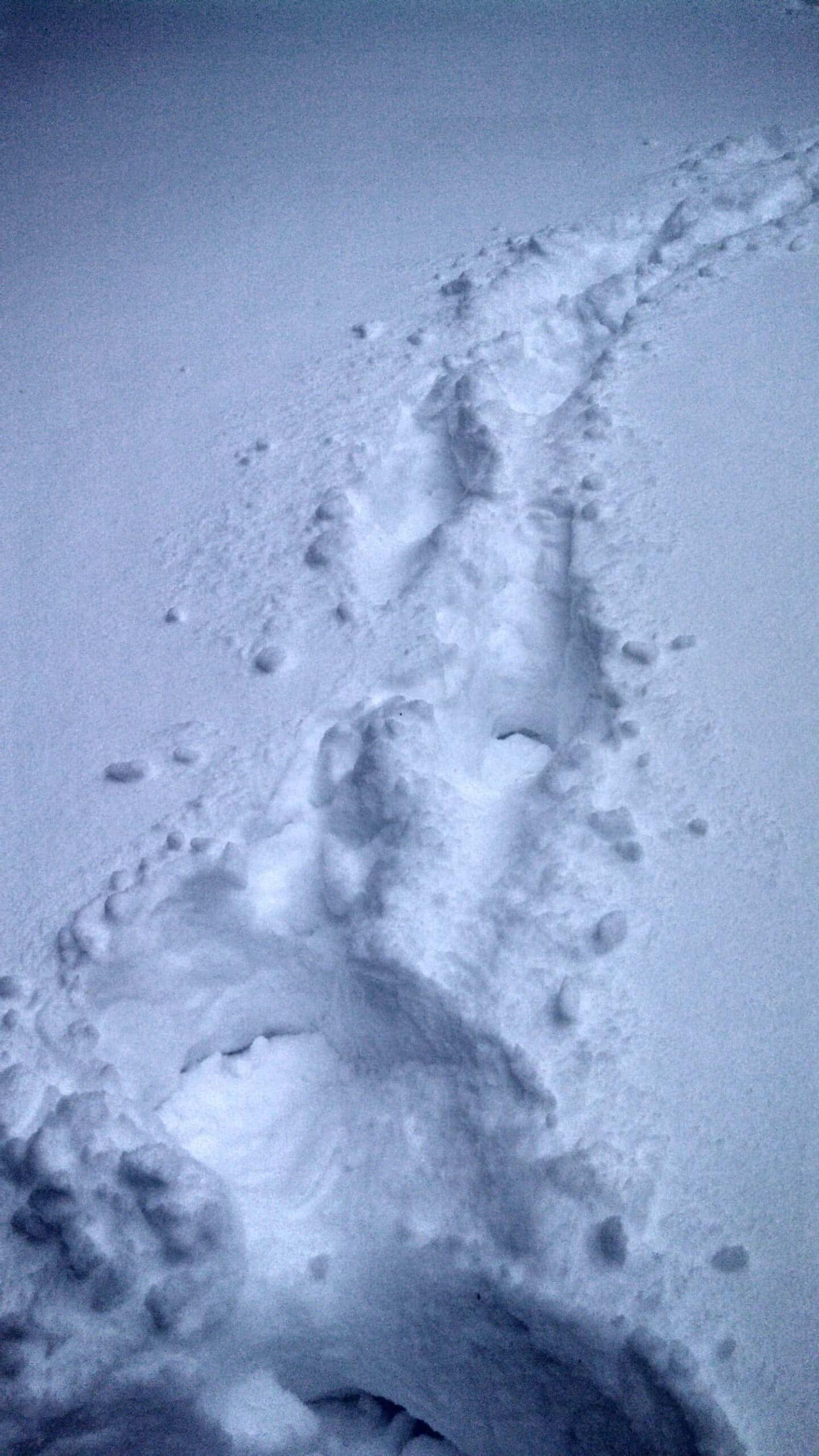 Footprints curve through freshly fallen snow, creating a visible path across an otherwise untouched, smooth snowy surface.
