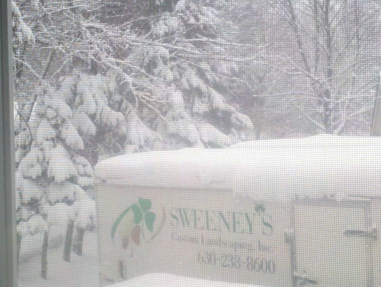 A snowy scene with heavily snow-covered trees and a Sweeneys Landscapes trailer partially visible in the foreground.