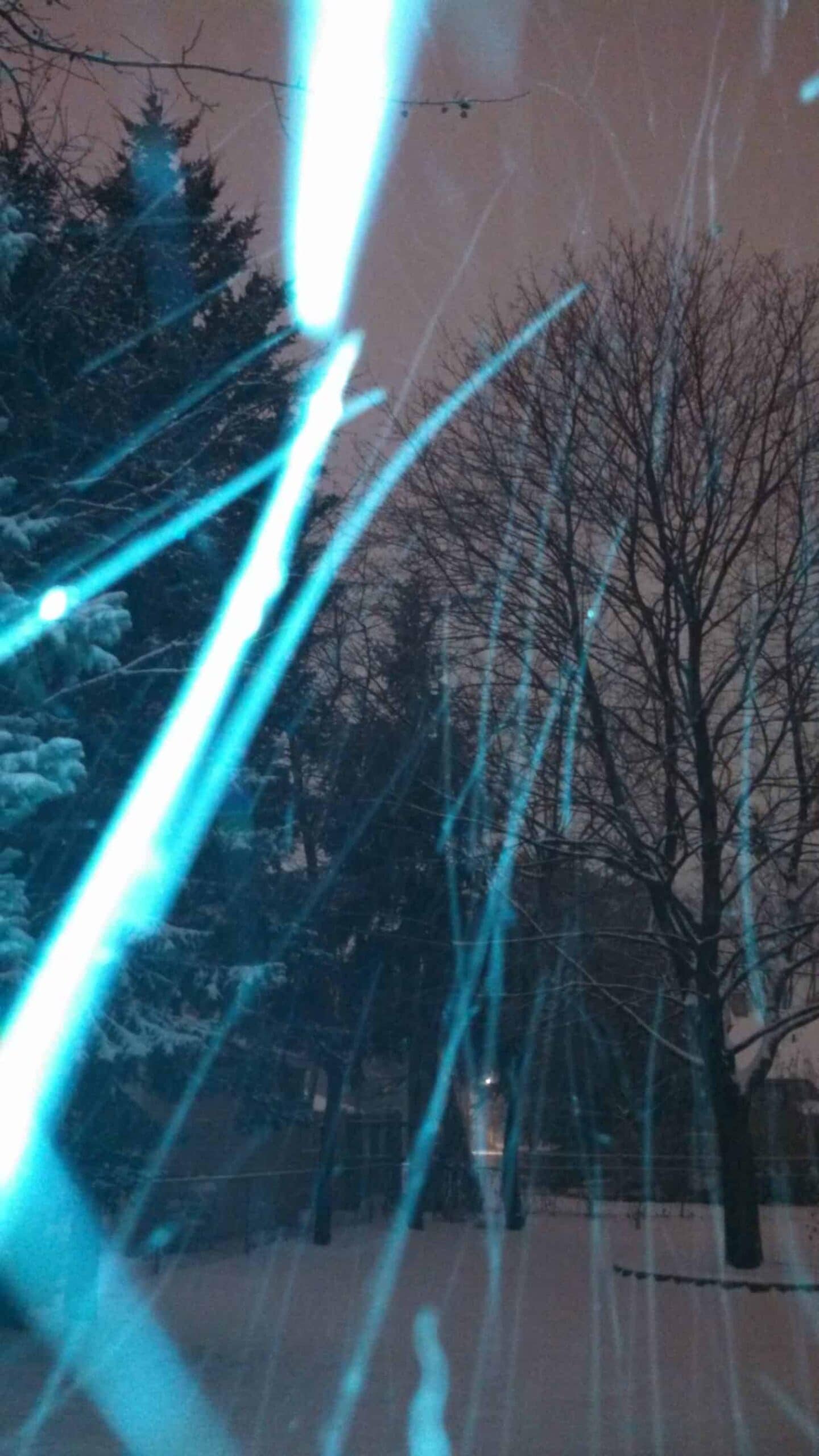 Snowy night scene with dark trees, snow-covered branches, and streaks of blue light across the image, likely caused by long-exposure photography capturing moving lights or reflections in the cold winter setting.