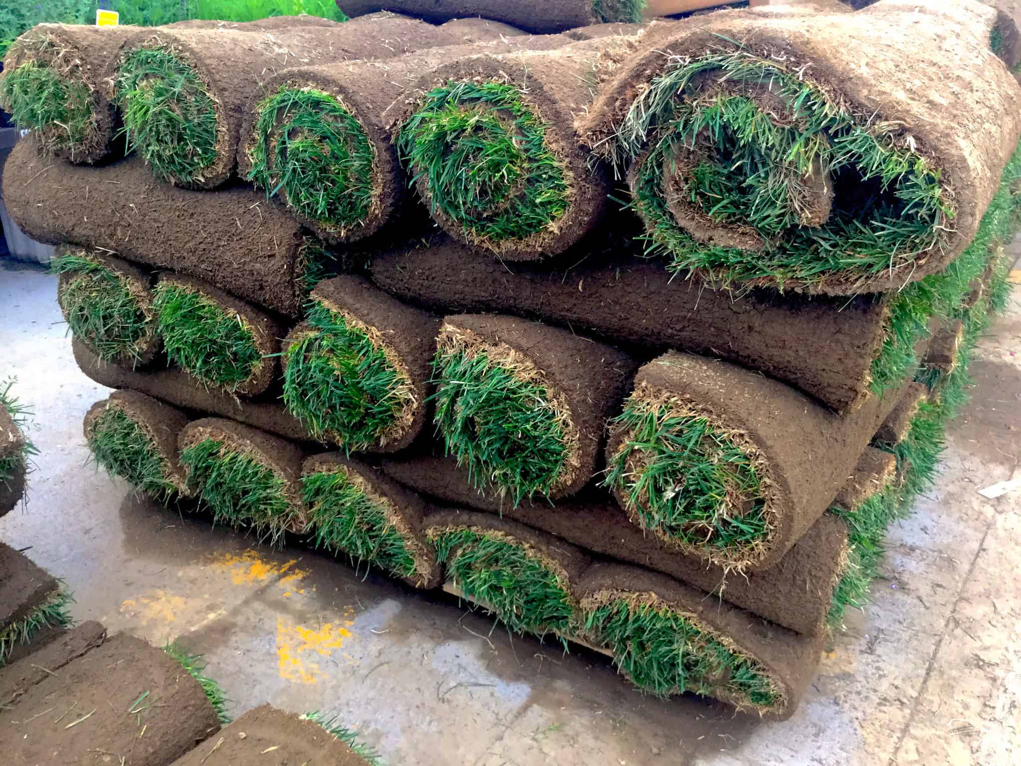Several rolls of sod, with green grass and soil visible, are stacked neatly in a warehouse or storage area on a concrete floor.