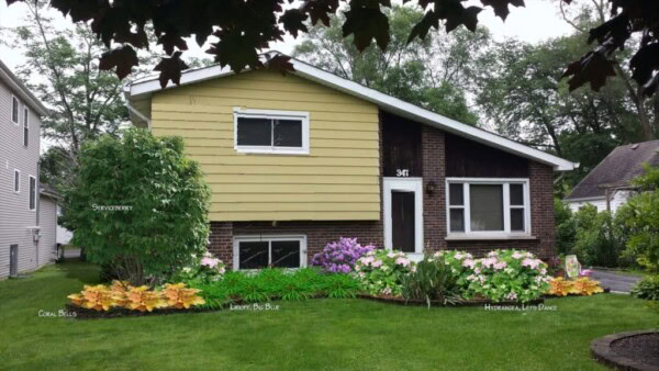 A split-level house with yellow siding, brown brick, and white trim, surrounded by a green lawn, flowering shrubs, and labeled garden plants, including Coral Bells and Hydrangea.