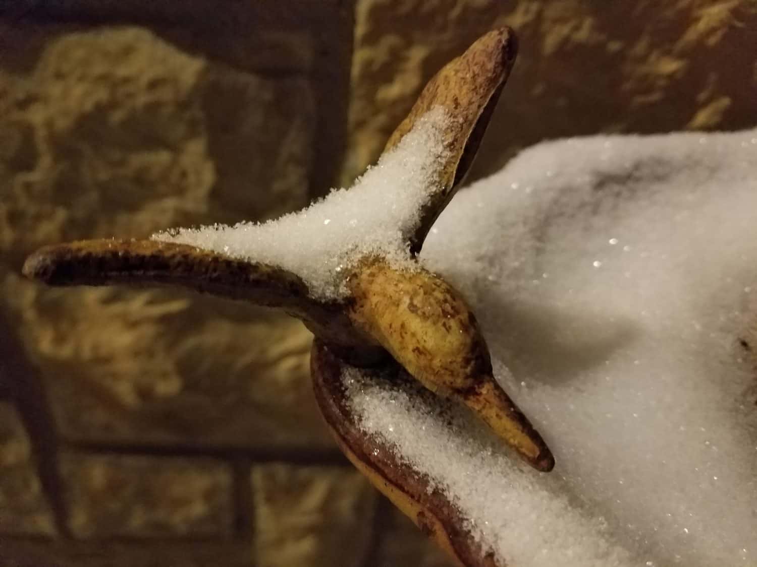 A close-up of a bird sculpture dusted with snow, with a stone wall in the background. The birds beak and wings are visible, and the snow sparkles in the light.