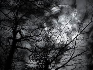 Bare tree branches silhouetted against a large, bright full moon in a cloudy night sky, creating a dark, eerie atmosphere.