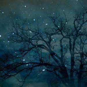 Bare tree branches silhouetted against a dark, cloudy night sky with falling snowflakes, creating a cold and mysterious winter atmosphere.