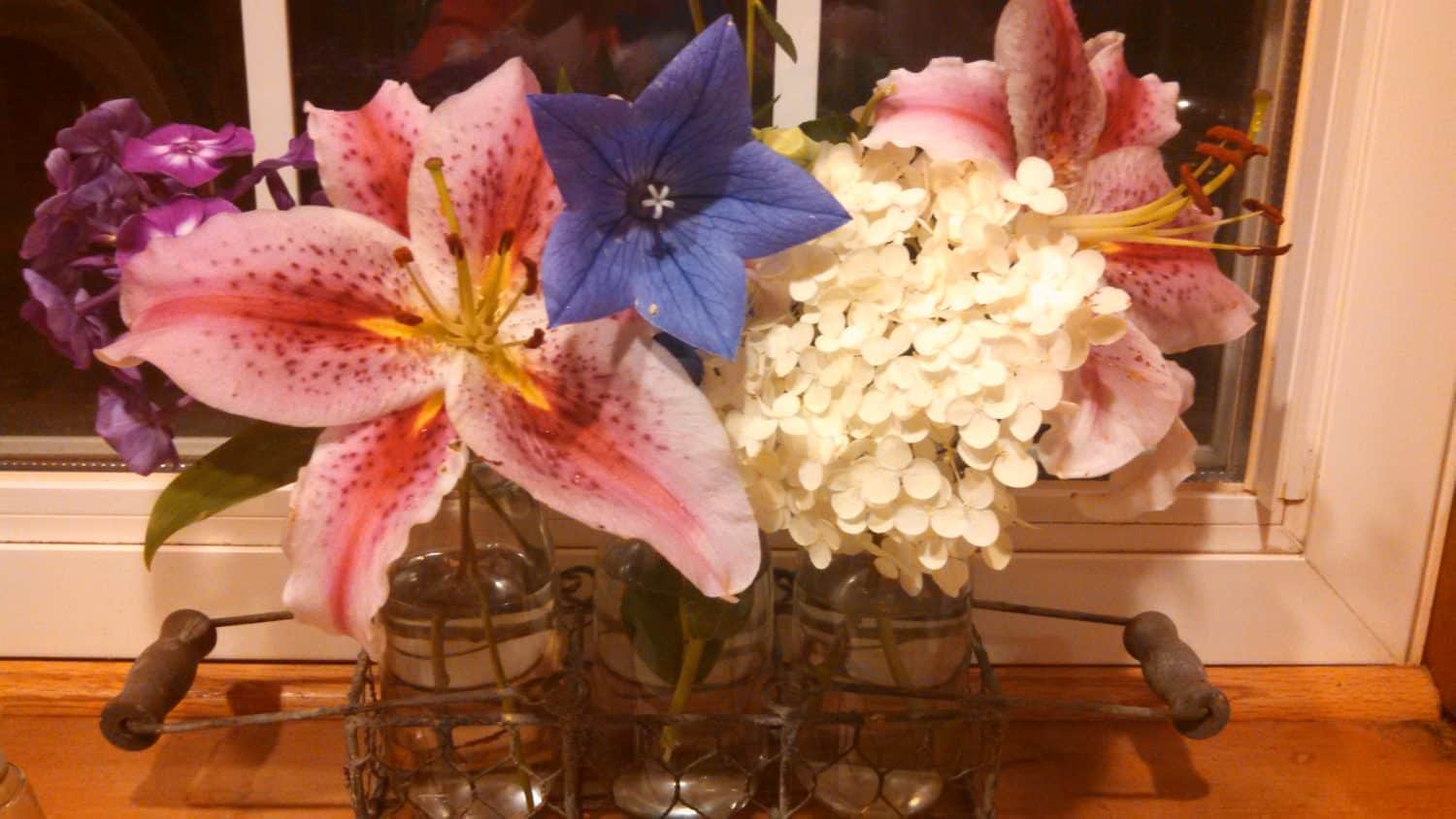 A bouquet of pink lilies, a blue star-shaped flower, purple flowers, and white hydrangeas arranged in glass vases on a wooden windowsill.