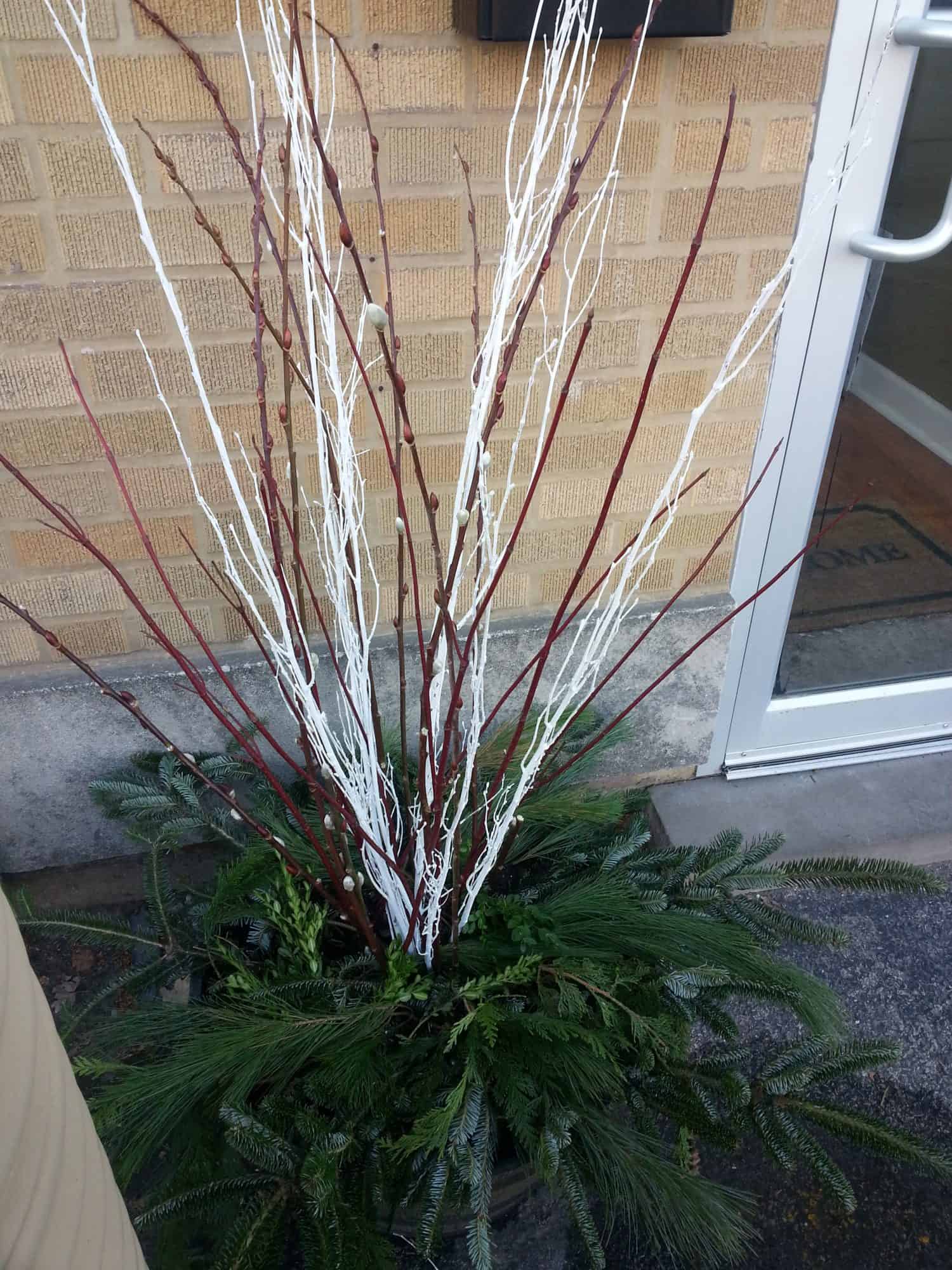 A decorative planter with green pine branches and tall red and white painted branches, positioned next to a brick wall and a glass door.