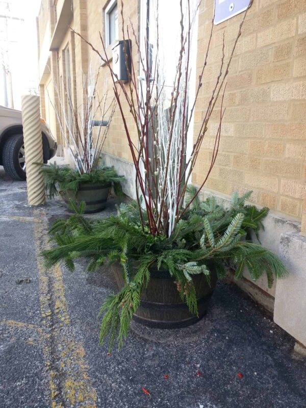 Two large planters with pine branches and tall twigs sit on a paved area next to a tan brick building. Yellow parking lines and a bollard are visible nearby.