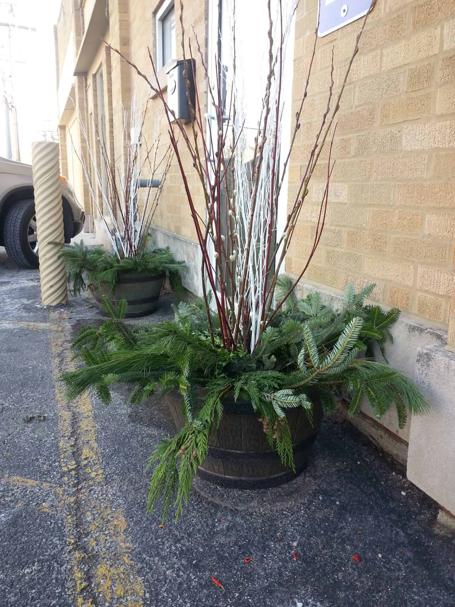 Two large planters with pine branches and tall twigs sit on a paved area next to a tan brick building. Yellow parking lines and a bollard are visible nearby.