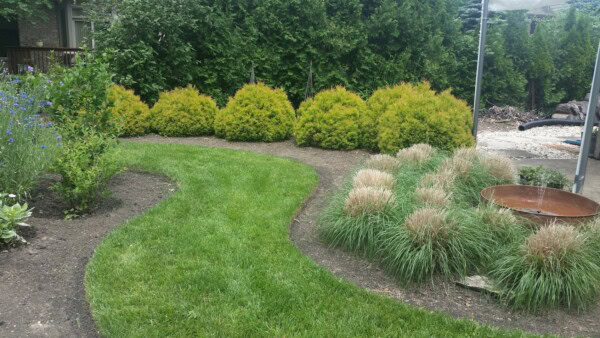 A green, curved lawn path winds between bushes and ornamental grass, with a round metal water feature on the right and dense trees and shrubs lining the background.