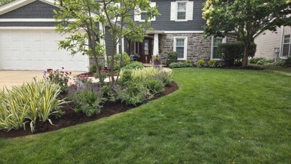 A well-maintained front yard features green grass, a curved flower bed with mixed plants and flowers, small trees, and a house with stone and dark siding in the background.