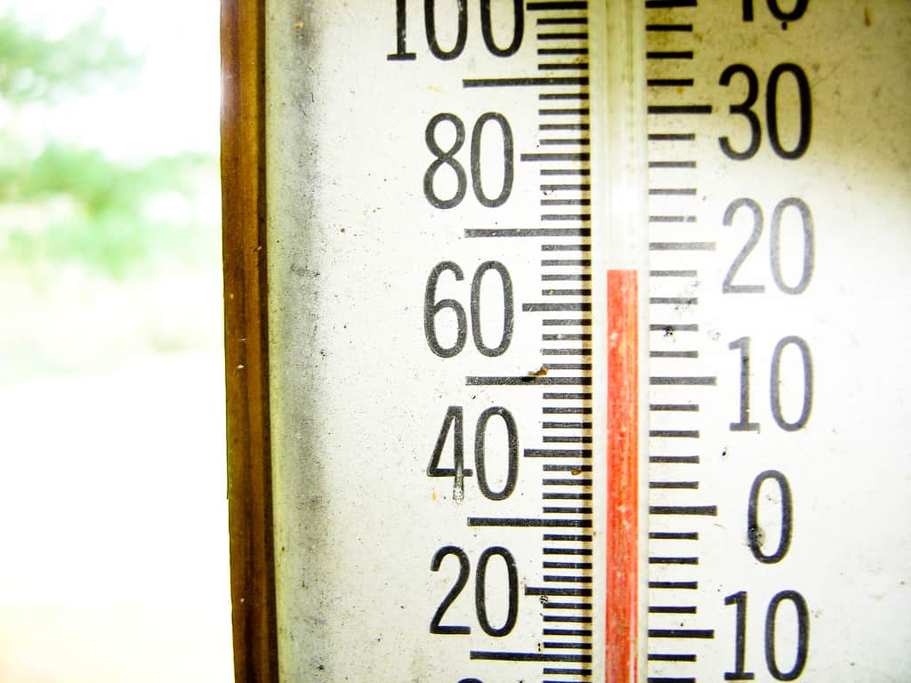 Close-up of a thermometer showing a temperature just under 80°F (about 27°C). The left side of the image is blurred, focusing on the numbered scale and the red liquid indicator.