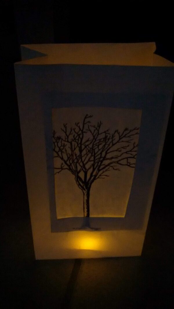 A paper lantern glows dimly in the dark, featuring a cutout window with a black silhouette of a bare tree, its branches spreading out artistically.