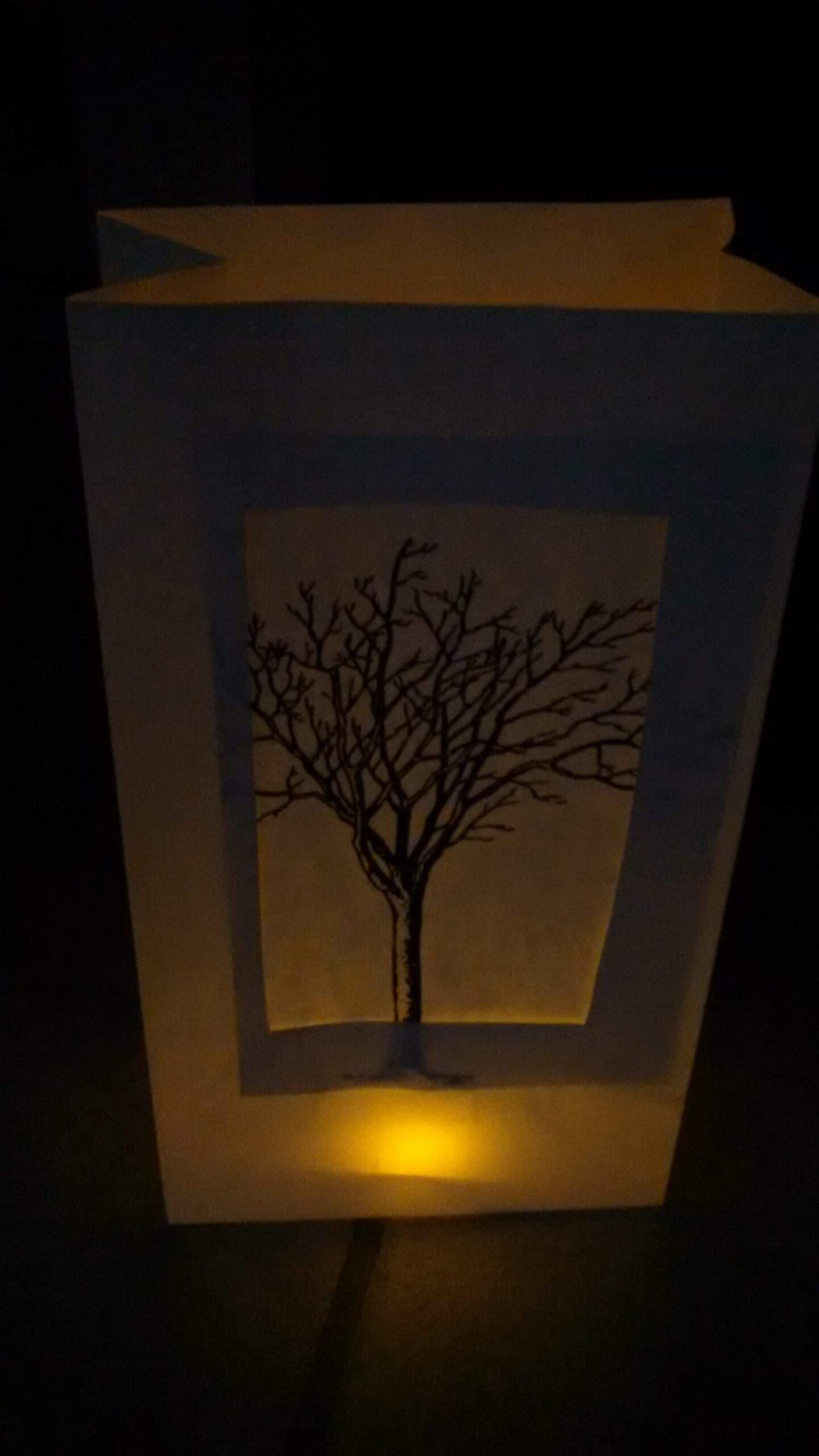 A paper lantern glows dimly in the dark, featuring a cutout window with a black silhouette of a bare tree, its branches spreading out artistically.