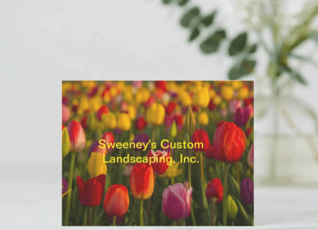 A sign with Sweeneys Custom Landscaping, Inc. in yellow text is in front of a field of colorful tulips. A blurred vase with green leaves is in the background.
