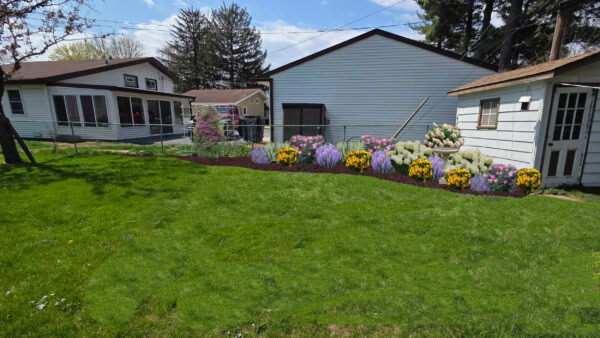 A backyard with green grass, colorful flower beds along a fence, and several houses and sheds in the background under a clear sky.