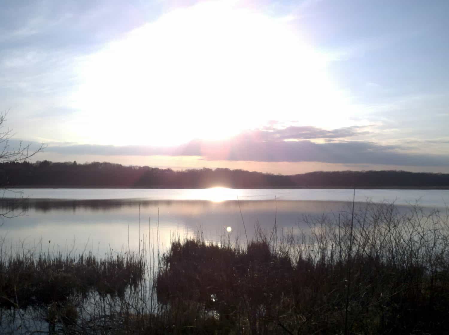 The sun sets over a calm lake with a reflection on the water. Tall grasses and bushes are in the foreground, and distant trees line the horizon under a partly cloudy sky.