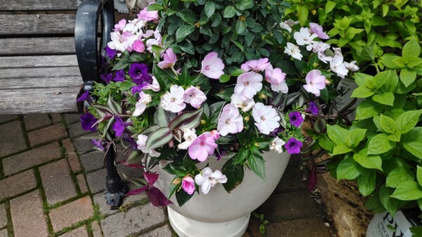 A white planter filled with pink, white, and purple flowers next to a wooden bench, with green foliage and brick pavement in the background.