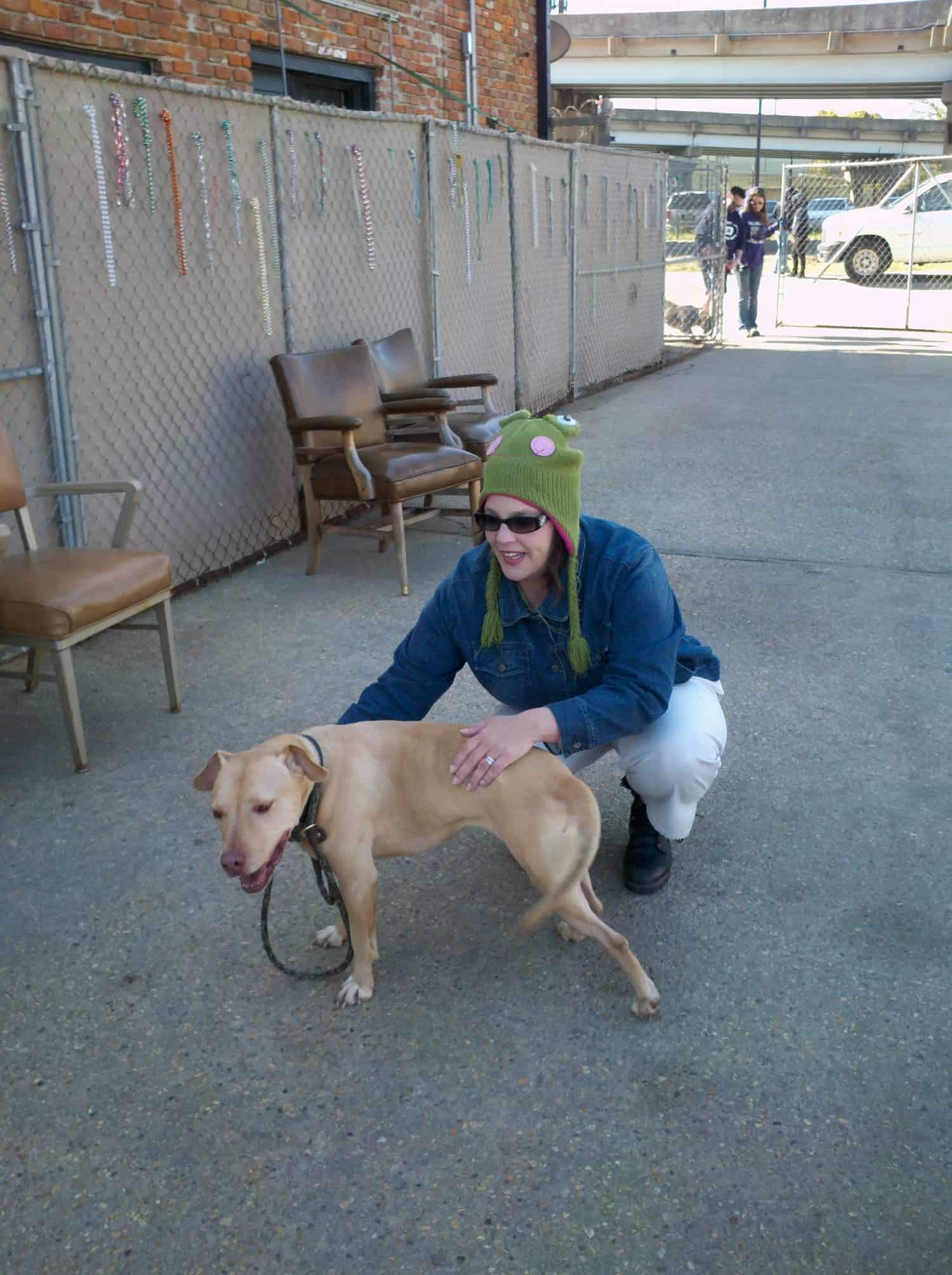 A person in a green hat with frog eyes crouches and pets a tan dog on a leash outside near a fence, with chairs and people in the background.