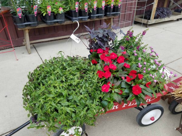 A red wagon filled with green leafy plants and vibrant red and purple flowers sits on a sidewalk near a display of potted plants.