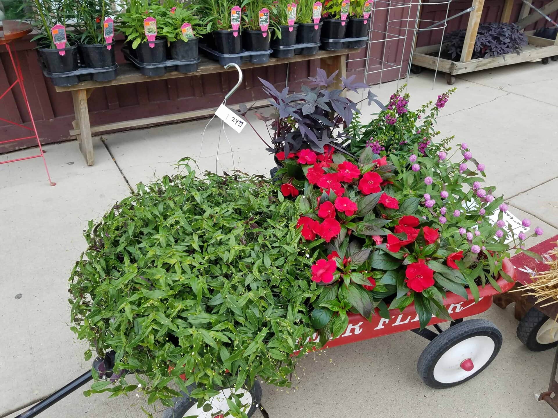 A red wagon filled with green leafy plants and vibrant red and purple flowers sits on a sidewalk near a display of potted plants.