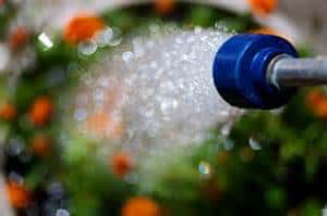 Close-up of water spraying from a blue garden hose nozzle, with a blurred background of green plants and orange flowers.