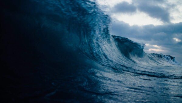A large, dark blue ocean wave rises under a cloudy sky at dusk, capturing the motion and energy of the sea just before it breaks.