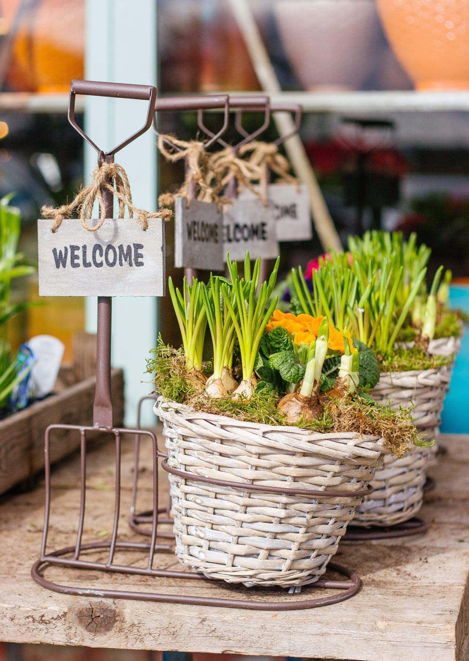 Three wicker baskets with green plants and flowers sit on a table, each attached to a small rake with a wooden WELCOME sign hanging from it. The background shows pots and blurred plants.
