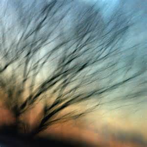 Blurry image of a leafless tree with outstretched branches against a soft, multicolored sky at sunset or sunrise.