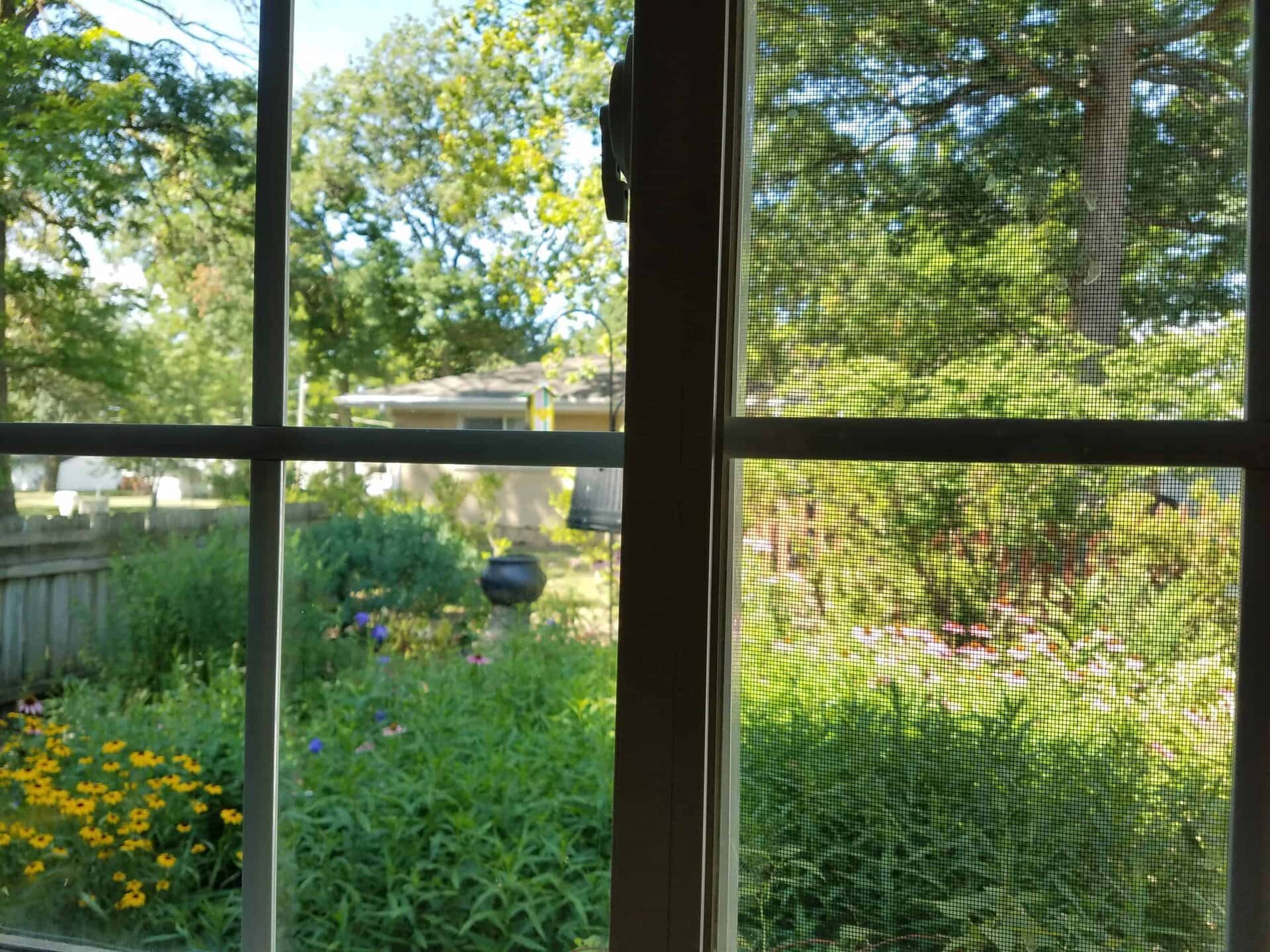 View through a window showing a lush, green garden with colorful flowers and trees. A wooden fence and a house are visible in the background under a sunny sky.