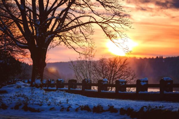 A snowy landscape at sunset with bare trees, a wooden fence, and soft orange and purple hues in the sky. Snow covers the ground and fence, while the sun sets behind distant hills and trees.