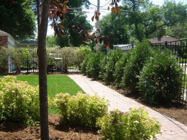 A brick walkway curves through a landscaped yard with green grass, shrubs, and small trees, bordered by a metal fence and tall evergreen bushes.